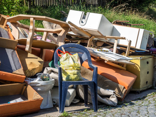 Best Hoarding Cleanup  in Madison Lake, MN
